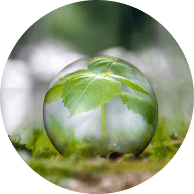 The seedling of a tree highlighed within a sphere of water. At CODA we see it as a major responsibility of ours to help reduce the carbon impact of live events across the whole supply chain.